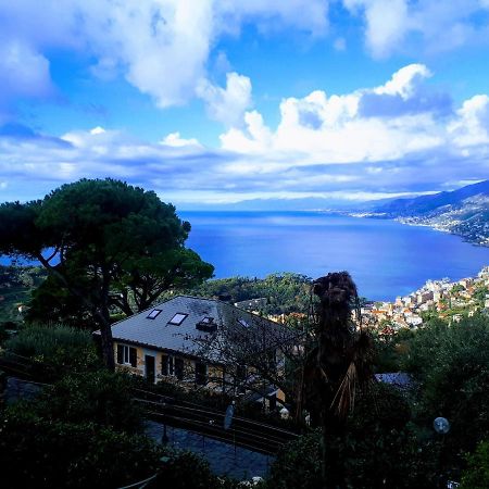 Casaviva - Bilo With Seaview And Parking In Camogli Lejlighed Eksteriør billede