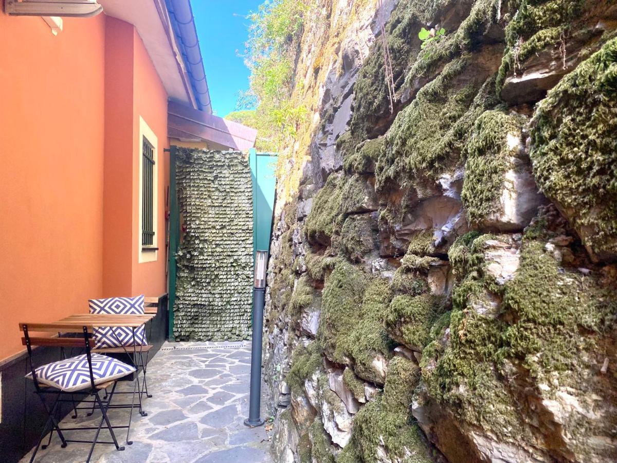 Casaviva - Bilo With Seaview And Parking In Camogli Lejlighed Eksteriør billede