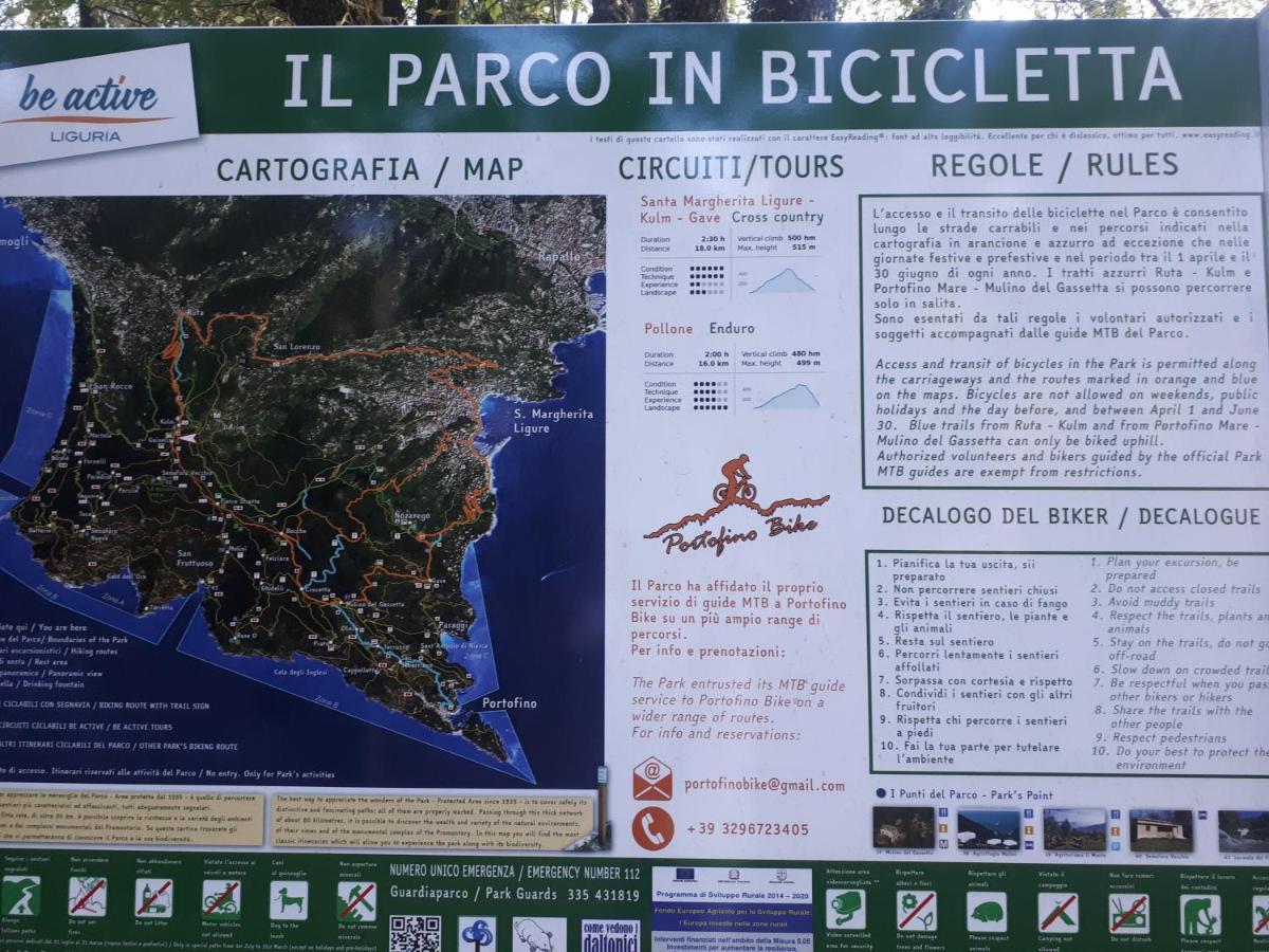 Casaviva - Bilo With Seaview And Parking In Camogli Lejlighed Eksteriør billede