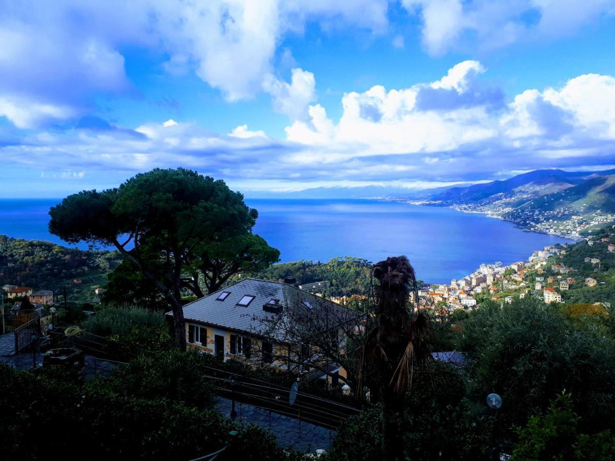 Casaviva - Bilo With Seaview And Parking In Camogli Lejlighed Eksteriør billede
